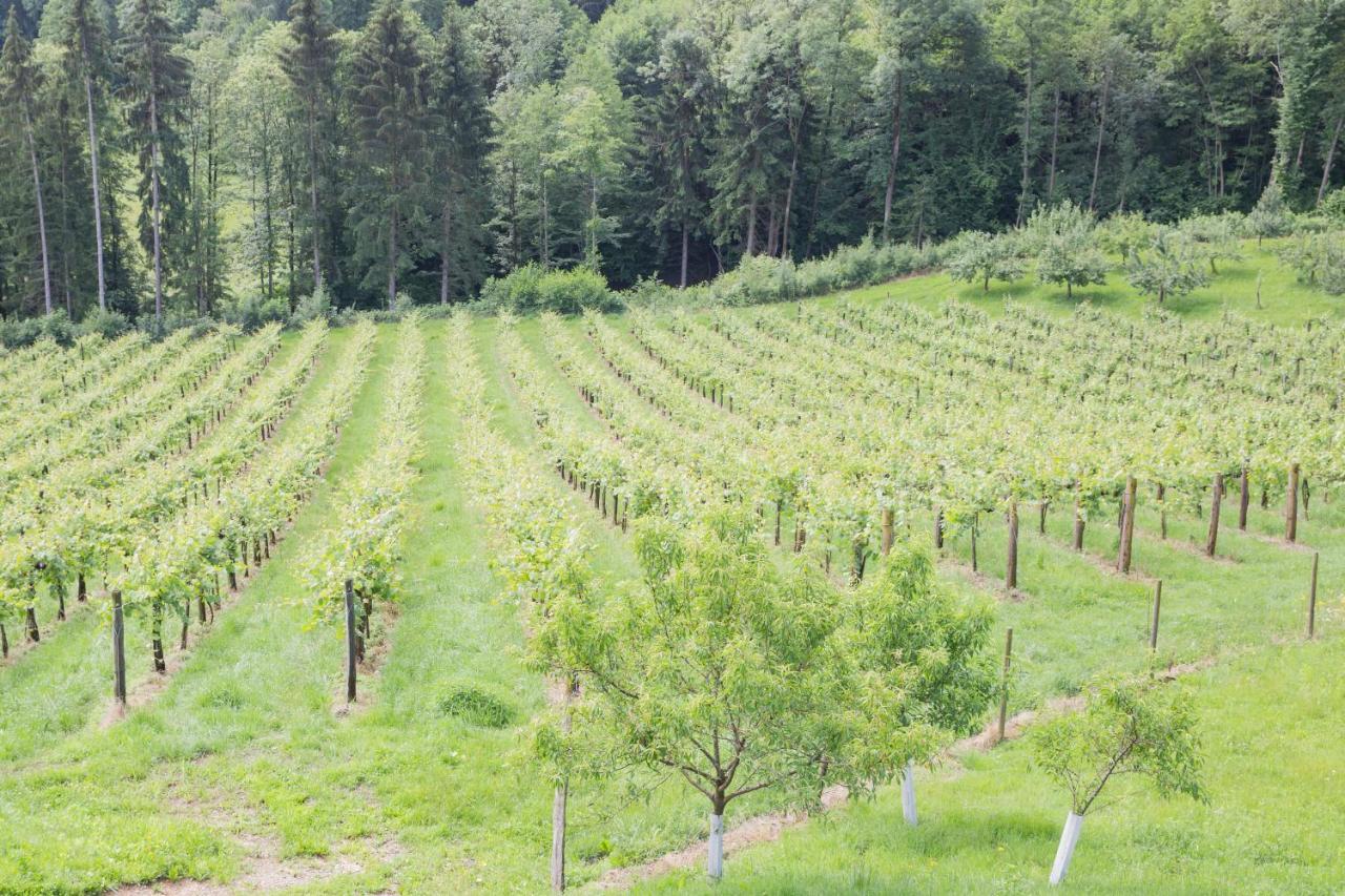 Buschenschank Ofnerpeter Sankt Stefan ob Stainz 外观 照片